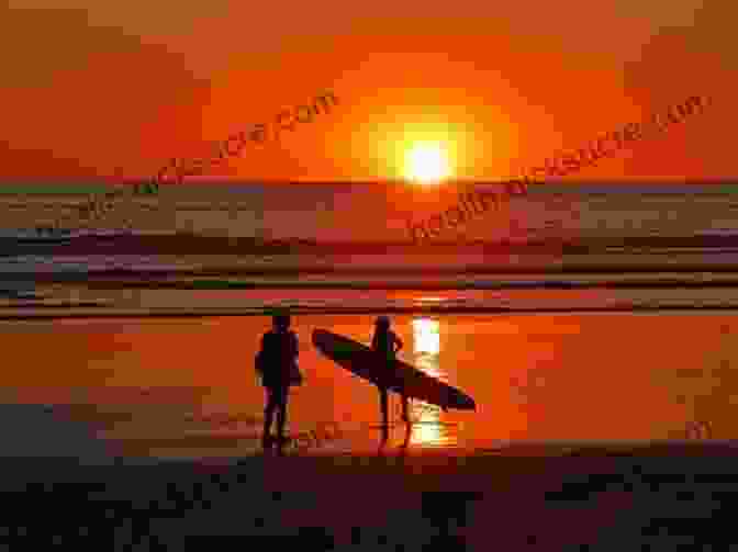 A Group Of Surfers Watching The Sunset From The Deck Of The Boat. Swell: A Sailing Surfer S Voyage Of Awakening