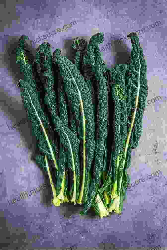 An Array Of Bitter Vegetables Including Kale, Dandelion Greens, And Arugula Savory Cocktails: Sour Spicy Herbal Umami Bitter Smoky Rich Strong