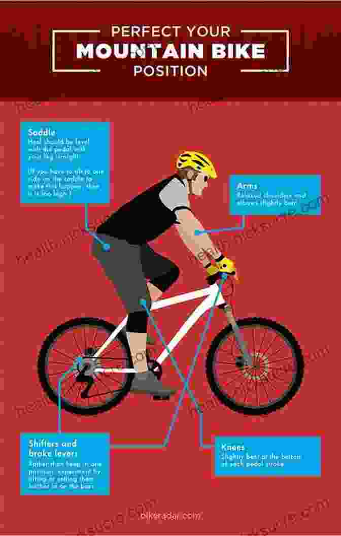 Diagram Showing Proper Body Position On A Mountain Bike For Flat Terrain, Climbing, And Descending Mastering Mountain Bike Skills Brian Lopes