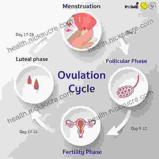 Menstrual Period During Puberty What S Happening To My Body? For Girls: Revised Edition